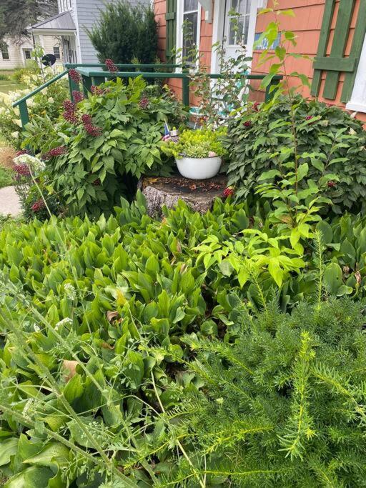 Centrally Located - Historic Blaney Park- Michigan Germfask エクステリア 写真