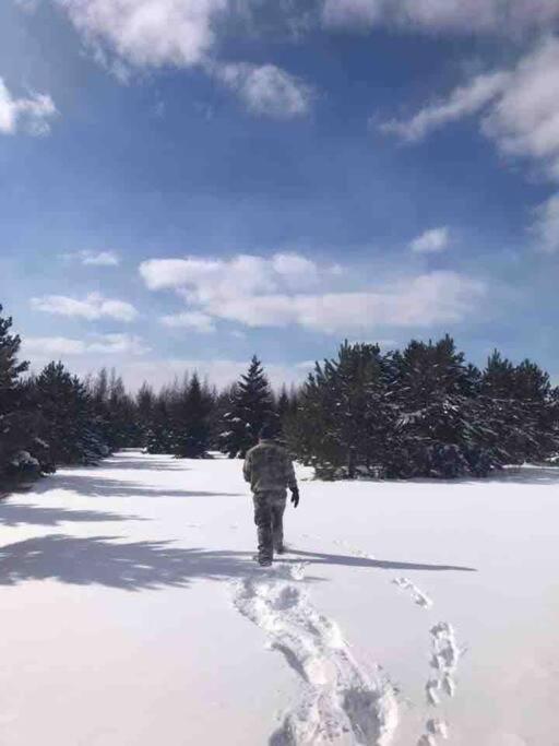 Centrally Located - Historic Blaney Park- Michigan Germfask エクステリア 写真