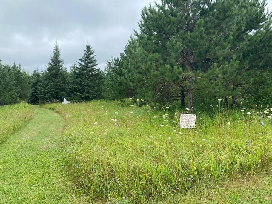 Centrally Located - Historic Blaney Park- Michigan Germfask エクステリア 写真